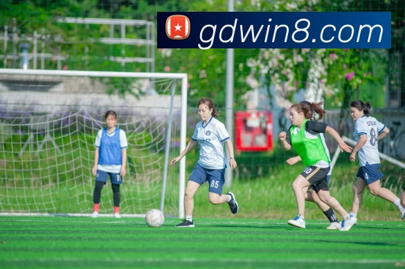 高德娱乐官网APP 封面图